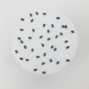 Twin Beads