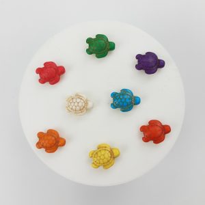 Pasantes de tortugas