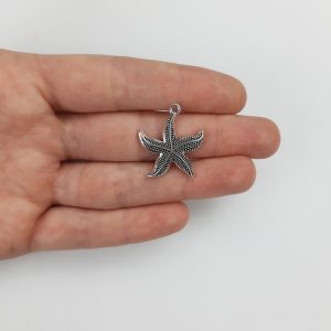 Dijes de mar - Estrellas de mar