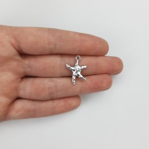 Dijes de mar - Estrellas de mar