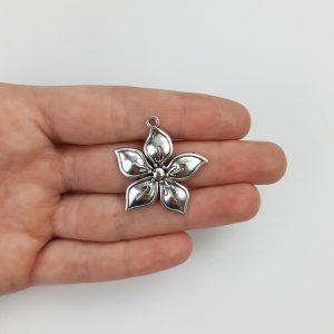 Dijes botánicos - Flores