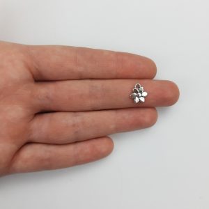 Dijes botánicos - Flores