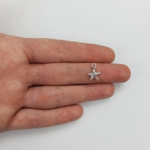 Dijes de mar - Estrellas de mar