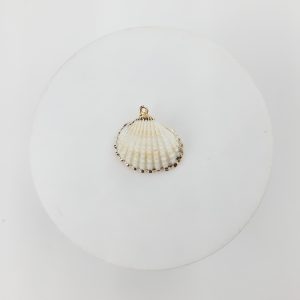 Dije de concha de mar