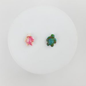 Pasantes de tortugas