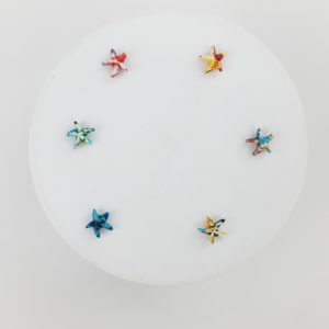 Pasantes de estrellas de mar