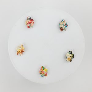 Pasantes de tortugas