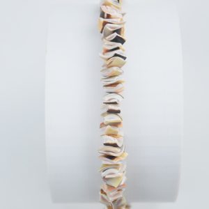 Tira de escallas de caracol