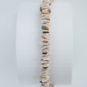 Collar de escalla de caracol