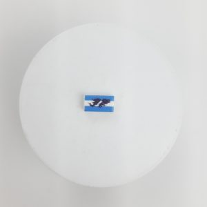 Pasante de bandera Malvinas