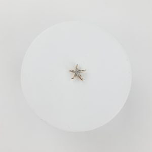 Pasante de estrella de mar