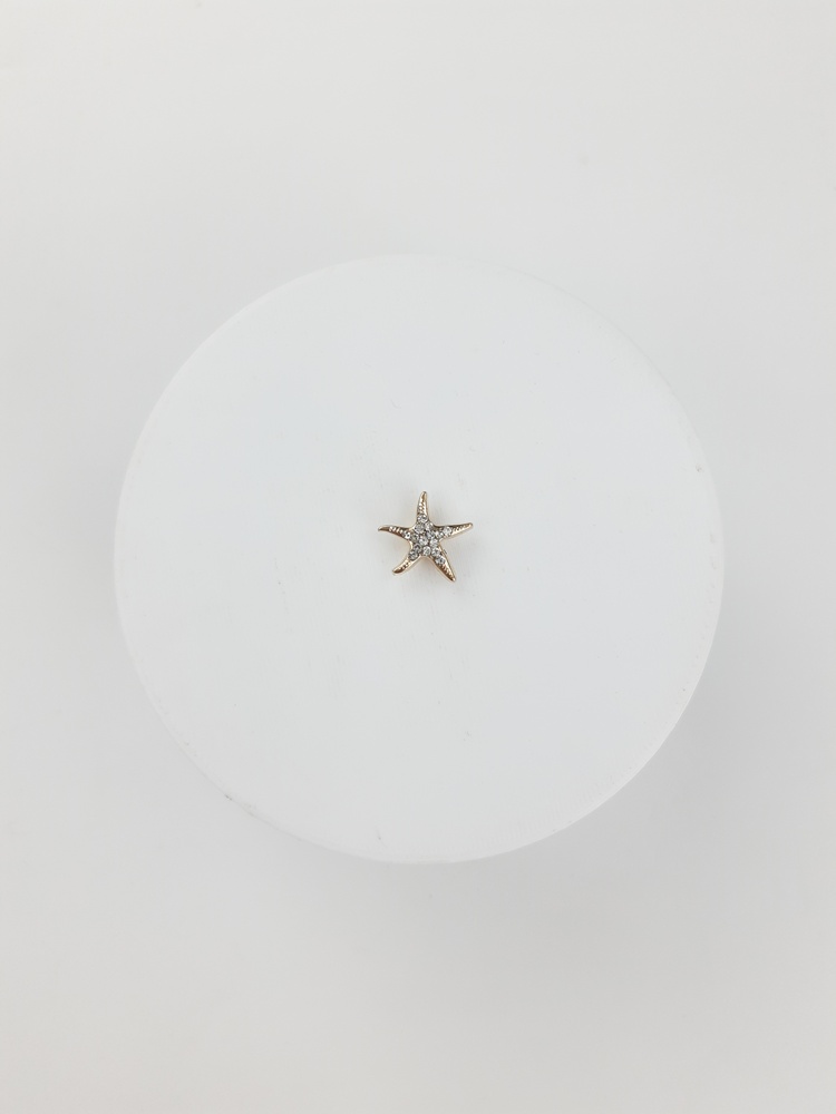 Pasante de estrella de mar